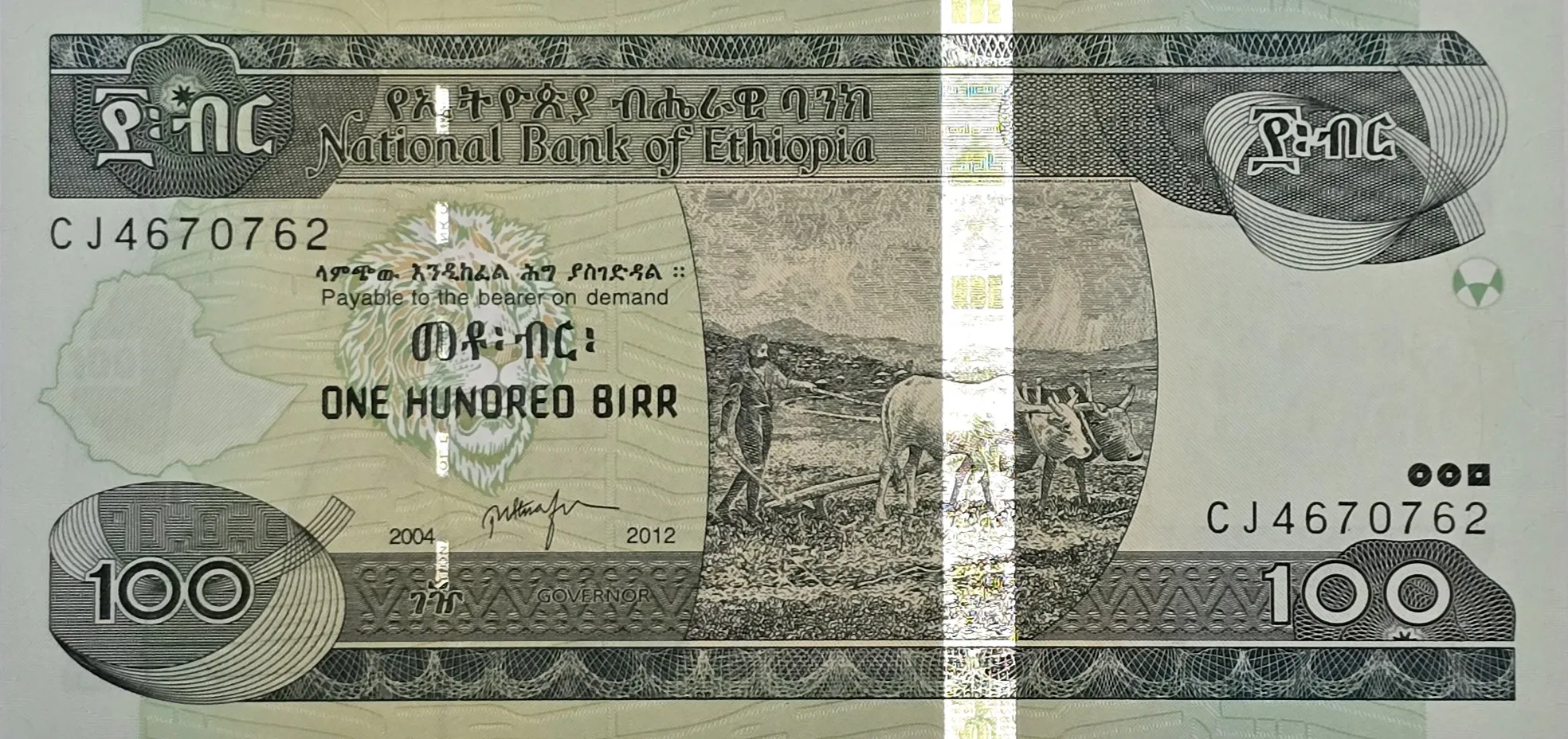اسکناس اتیوپی 100 بیر اتیوپی